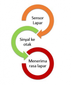 mengapa kita lapar